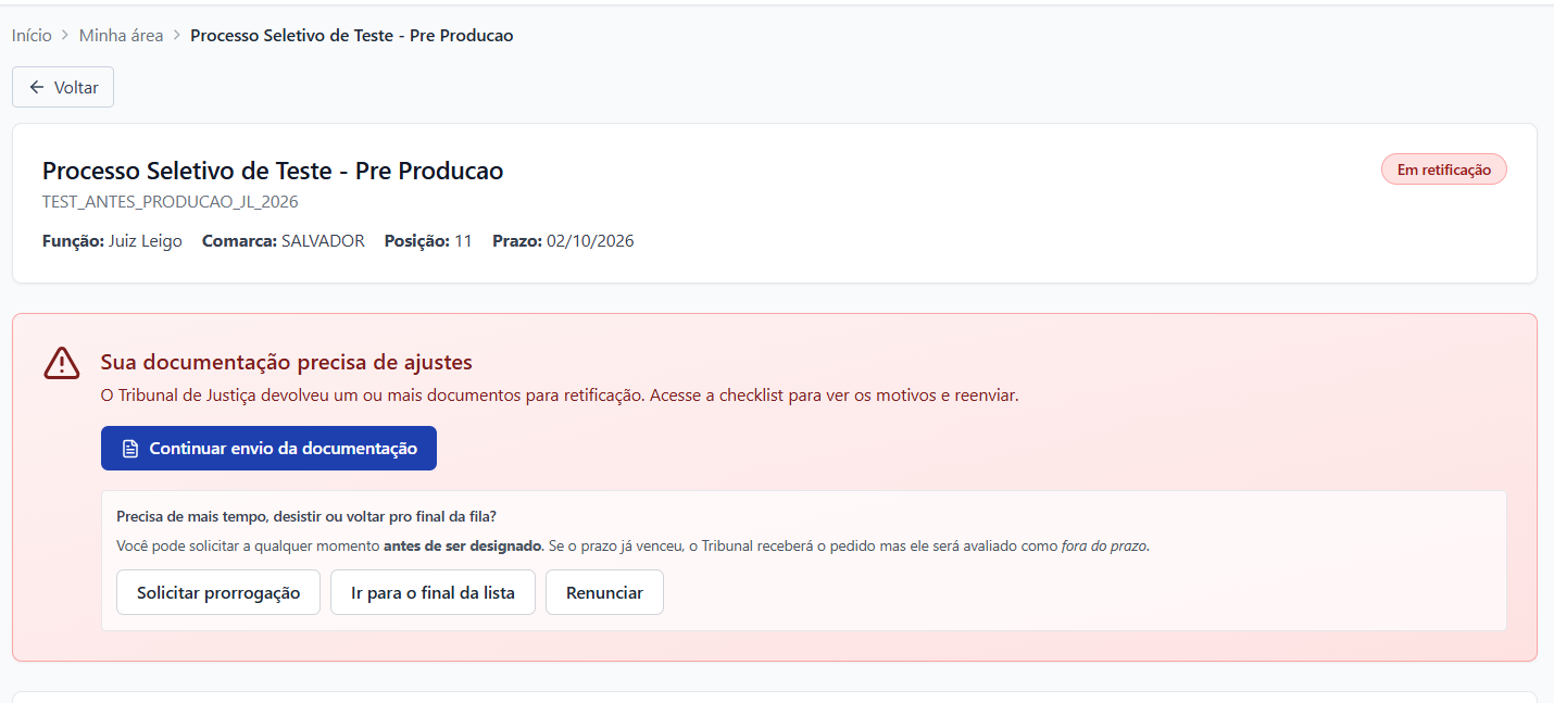 Aviso “Sua documentação precisa de ajustes”, com o botão para retomar o envio.